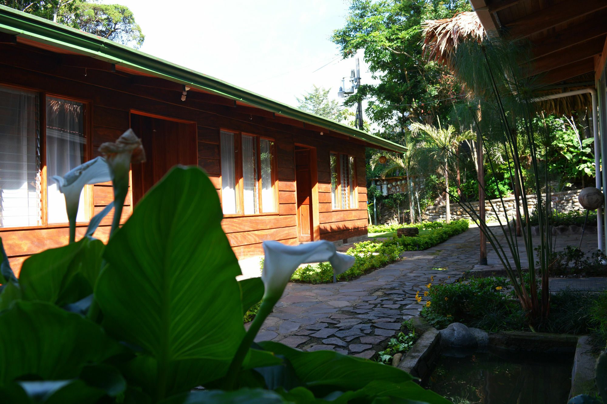 Santa Elena Hostel Resort Monteverde ภายนอก รูปภาพ