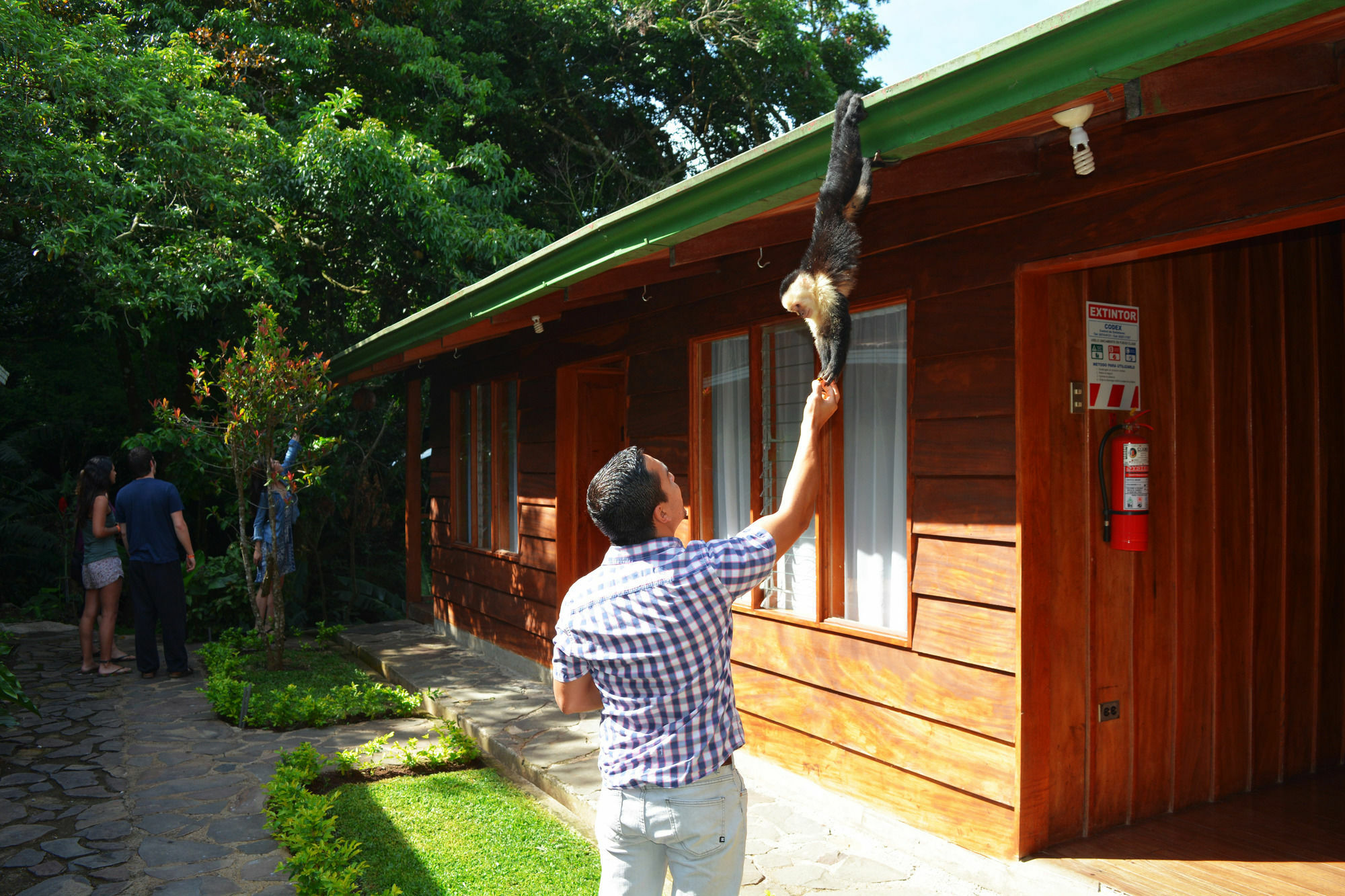 Santa Elena Hostel Resort Monteverde ภายนอก รูปภาพ